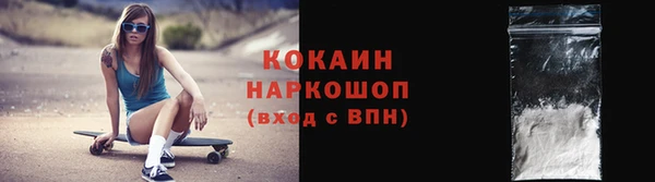 прущие грибы Кулебаки
