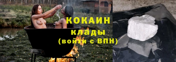 индика Няндома