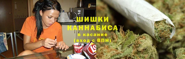 apvp Осинники