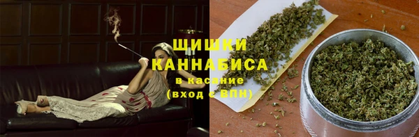 apvp Осинники