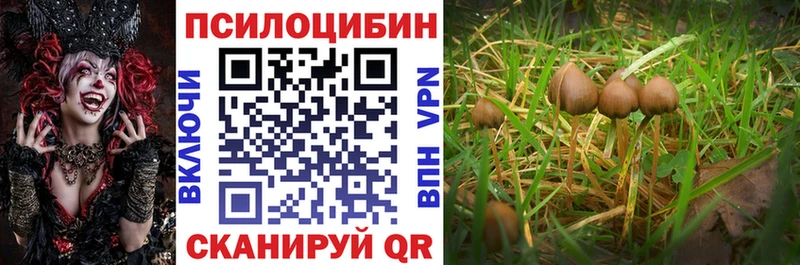 kraken ссылки  Таганрог  Псилоцибиновые грибы мицелий 